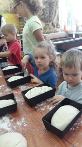 20150728_094436_resized